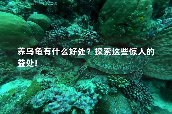 養烏龜有什么好處？探索這些驚人的益處!